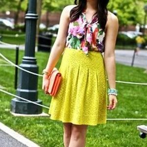 HD in Paris Anthropologie A-Line Skirt